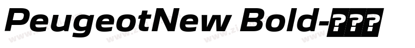 PeugeotNew Bold字体转换